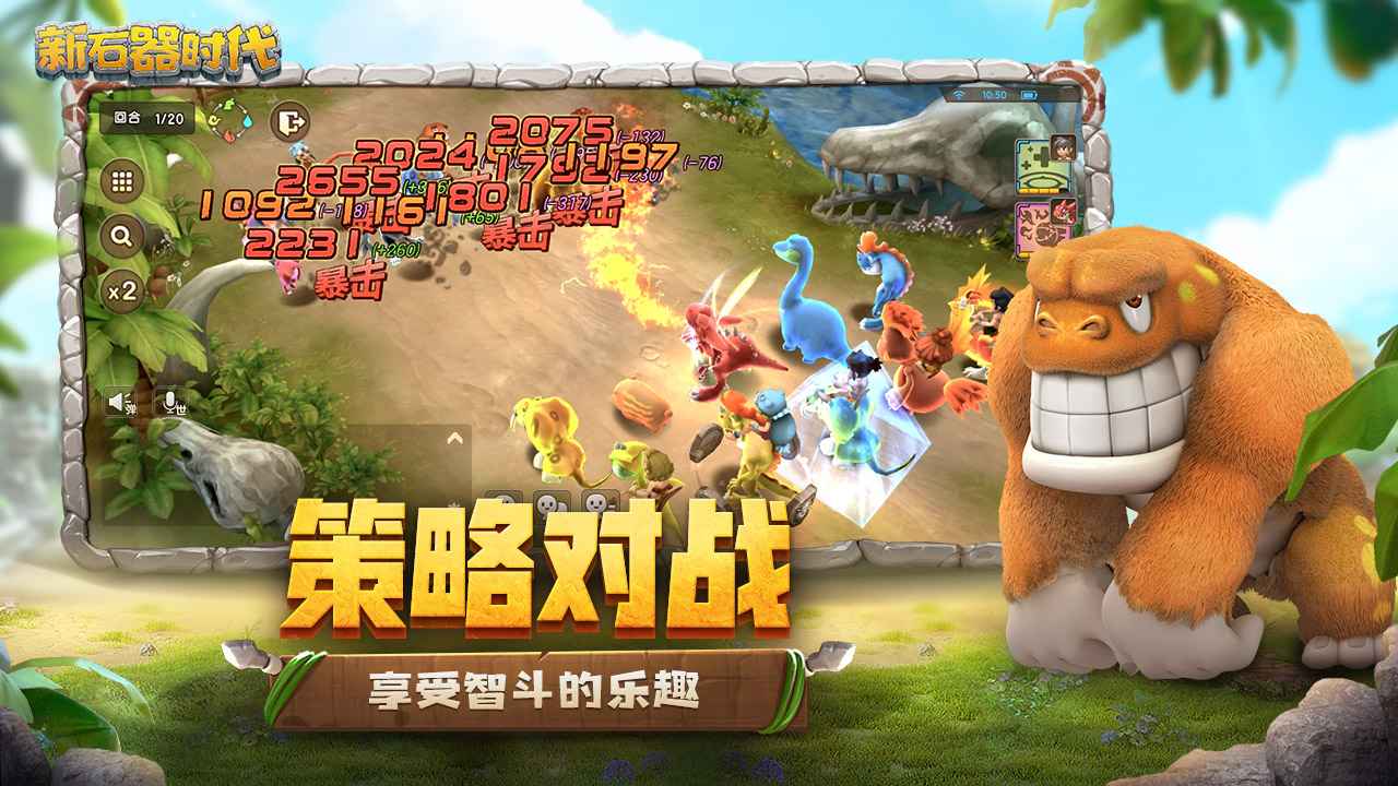 康辉担任巴黎奥运会火炬手