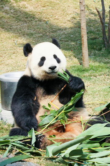 一个奇怪的现象：收入偏低的家庭夫妻吵架大部分因为钱；收入偏高的家庭夫妻吵架是因为一方认知不够